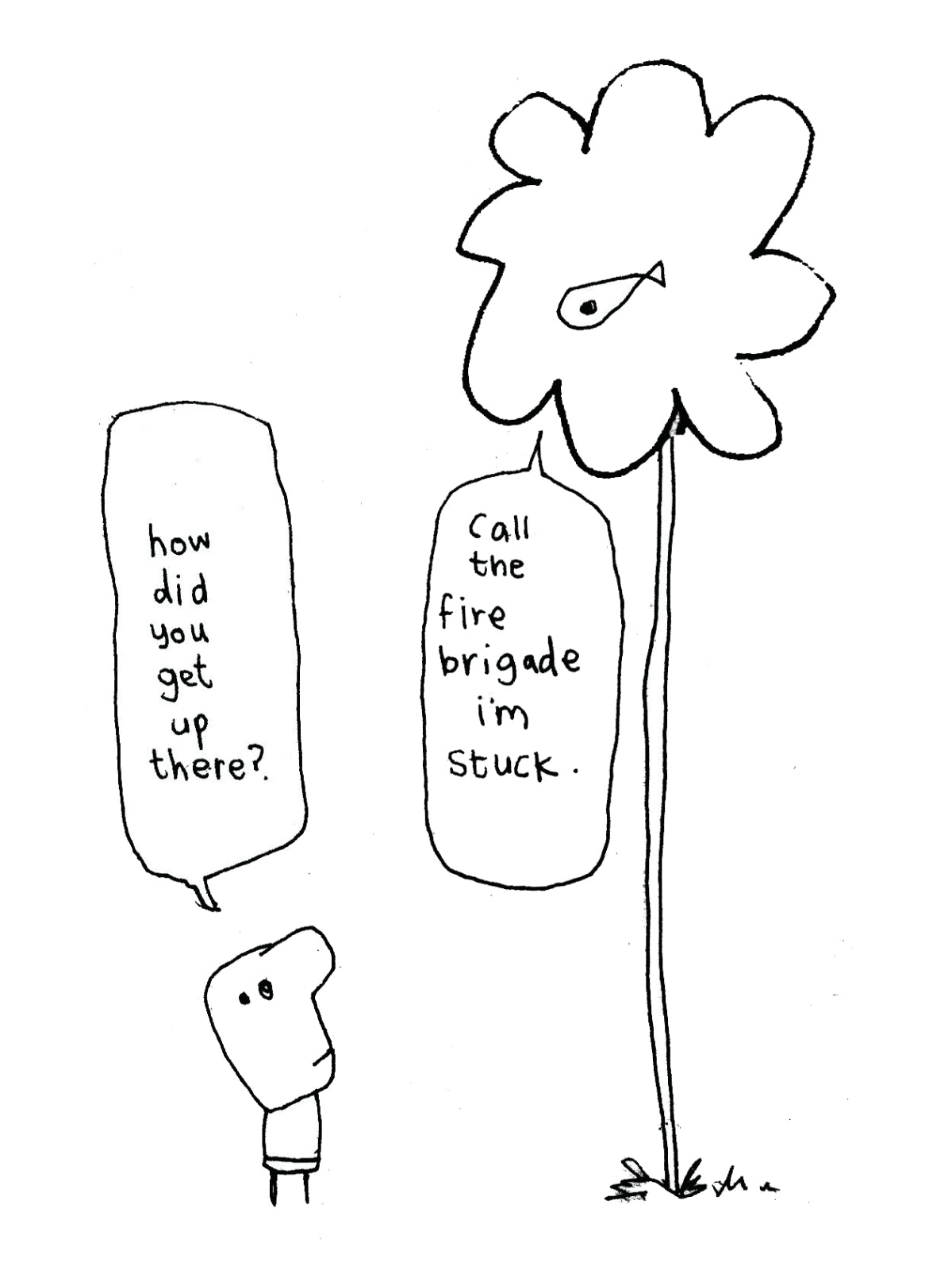 Fish Stuck in Tree Card