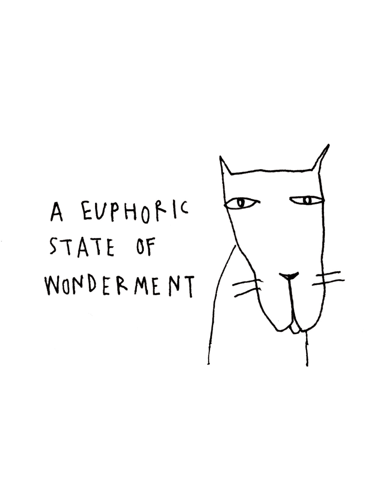 Euphoric Wonderment Cat Card