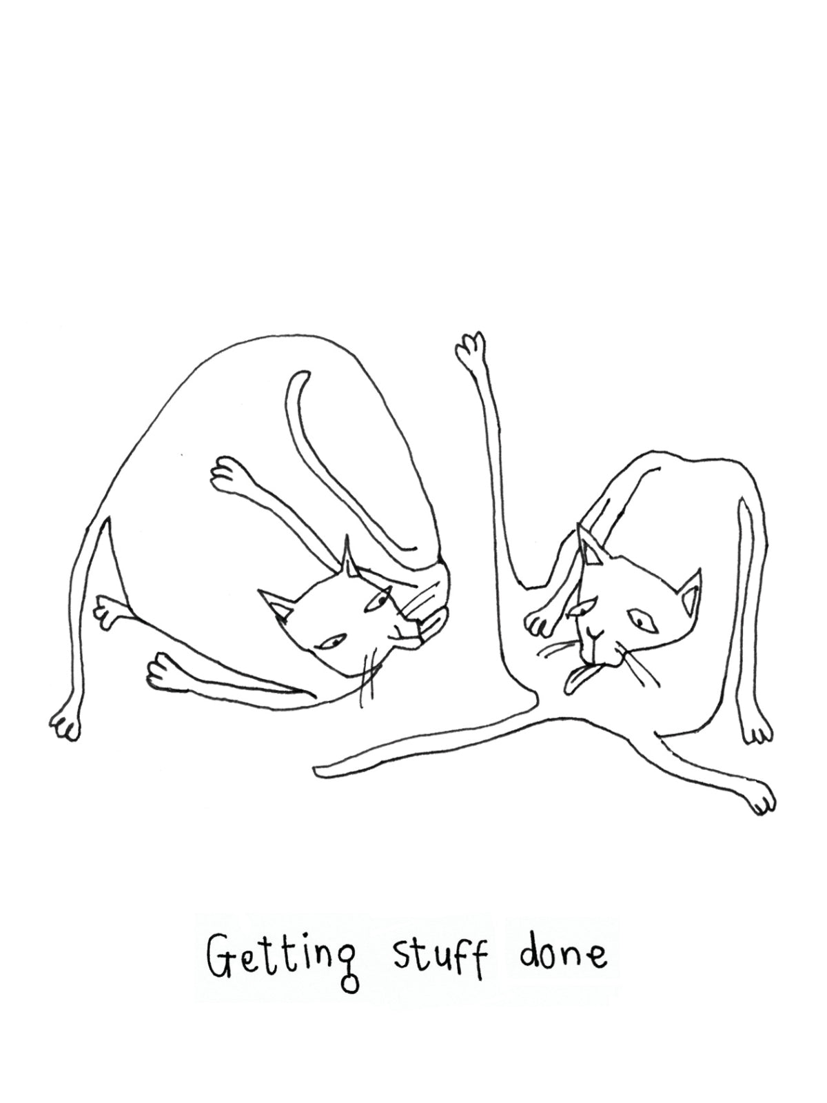 Getting Stuff Done Cats Washing Card