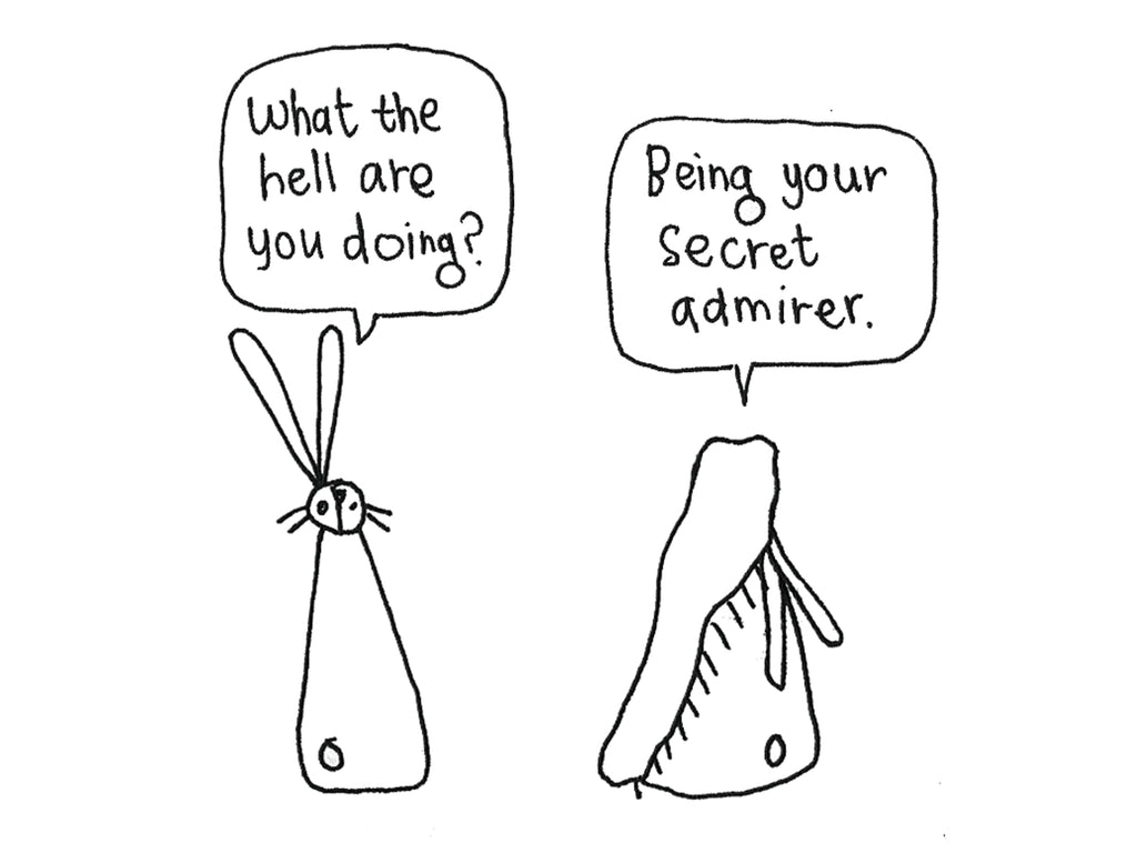 Secret Admirer Card | Valentines Card for Valentine