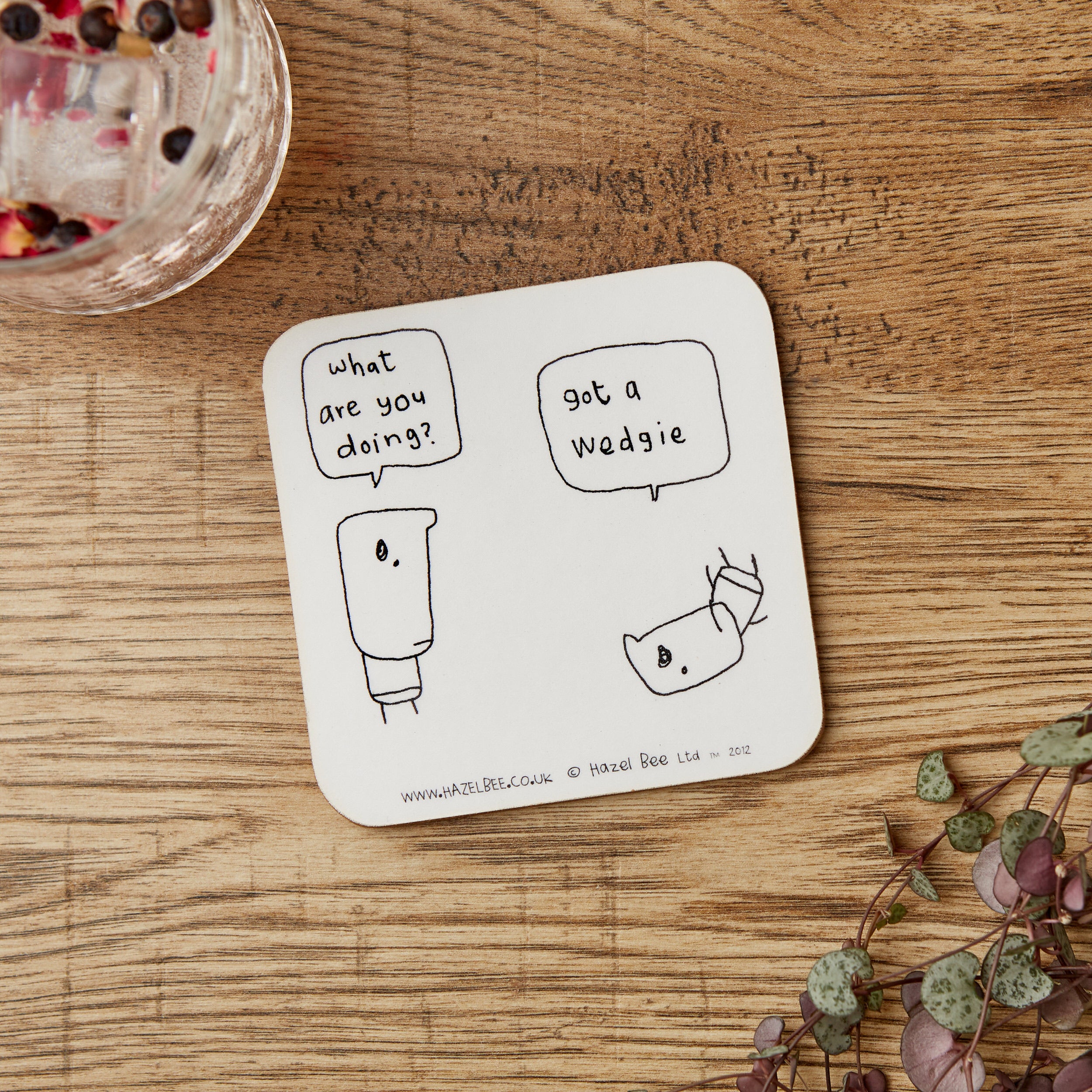 Wedgie Coaster